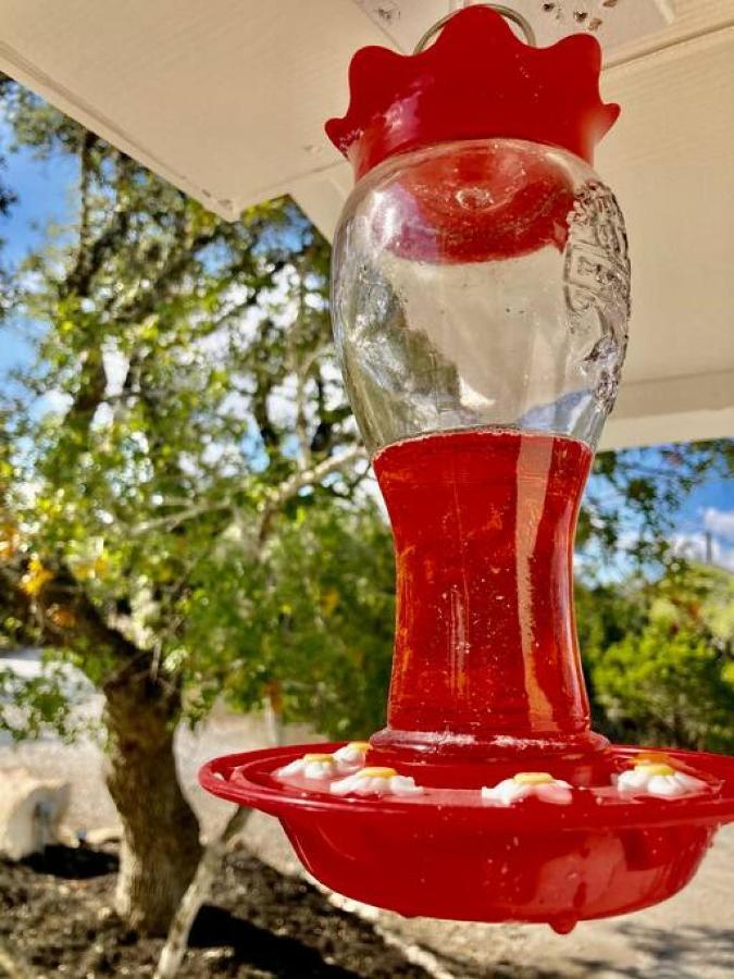 Hummingbird Haus - Hill Country Views On 20 Acres With Firepit Villa Spring Branch Buitenkant foto